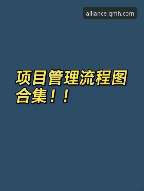 球盟会体育平台下载完整操作教程：从安装到使用的全流程指南